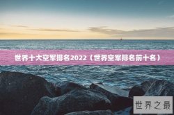 世界十大空军排名2022（世界空军排名前十名）