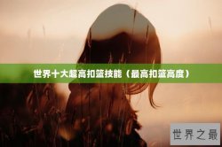 世界十大超高扣篮技能（最高扣篮高度）