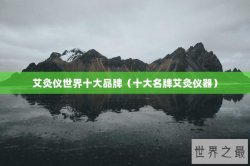 艾灸仪世界十大品牌（十大名牌艾灸仪器）