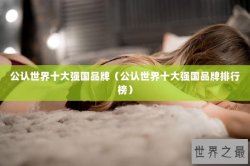 公认世界十大强国品牌（公认世界十大强国品牌排行榜）
