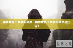 魔兽世界十大奢华品质（魔兽世界十大奢华品质是什么）
