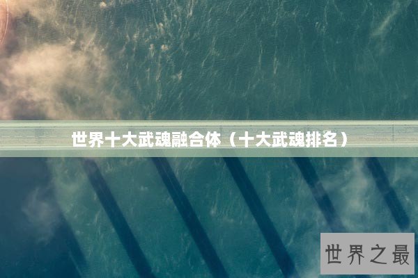世界十大武魂融合体（十大武魂排名）