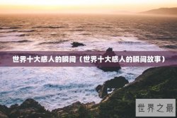 世界十大感人的瞬间（世界十大感人的瞬间故事）