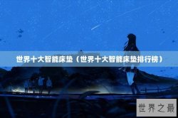 世界十大智能床垫（世界十大智能床垫排行榜）