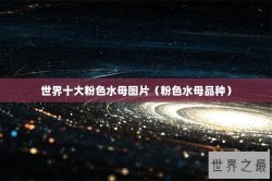 世界十大粉色水母图片（粉色水母品种）