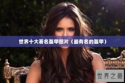 世界十大著名盔甲图片（最有名的盔甲）