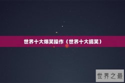 世界十大爆笑操作（世界十大搞笑）