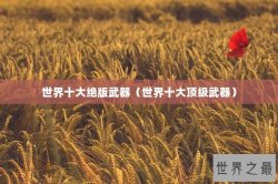 世界十大绝版武器（世界十大顶级武器）