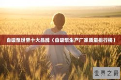 自吸泵世界十大品牌（自吸泵生产厂家质量排行榜）