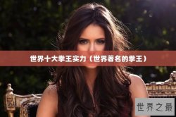 世界十大拳王实力（世界著名的拳王）