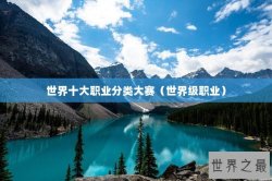 世界十大职业分类大赛（世界级职业）
