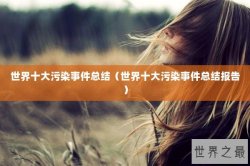 世界十大污染事件总结（世界十大污染事件总结报告）