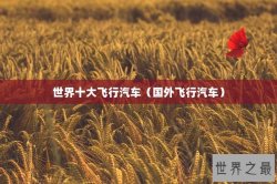 世界十大飞行汽车（国外飞行汽车）