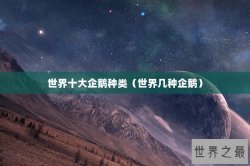 世界十大企鹅种类（世界几种企鹅）