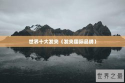 世界十大发夹（发夹国际品牌）