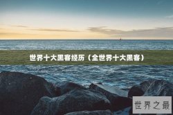 世界十大黑客经历（全世界十大黑客）