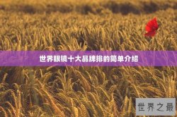 世界眼镜十大品牌排的简单介绍