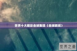 世界十大精彩击球集锦（击球瞬间）