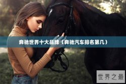 奔驰世界十大品牌（奔驰汽车排名第几）