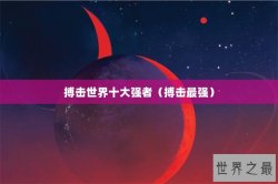 搏击世界十大强者（搏击最强）