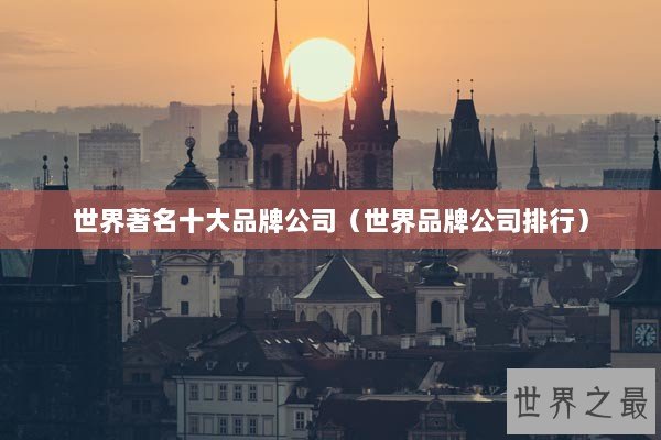 世界著名十大品牌公司(世界品牌公司排行) 世界著名十大品牌公司(世界品牌公司排行)