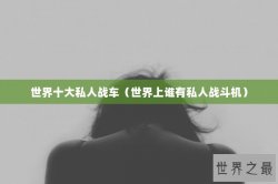 世界十大私人战车（世界上谁有私人战斗机）