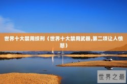 世界十大禁用绞刑（世界十大禁用武器,第二项让人愤怒）
