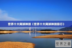 世界十大网球神技（世界十大网球神技排行）