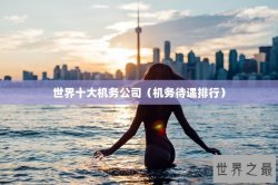 世界十大机务公司（机务待遇排行）