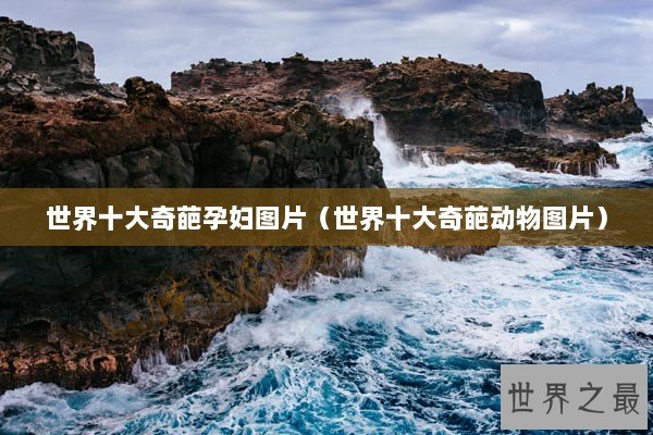 世界十大奇葩孕妇图片(世界十大奇葩动物图片) 世界十大奇葩孕妇图片(世界十大奇葩动物图片)