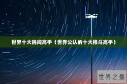 世界十大民间高手（世界公认的十大格斗高手）