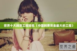 世界十大耗资工程排名（中国耗费资金最大的工程）