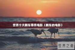 世界十大翻车事件电影（翻车的电影）