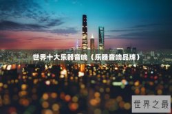 世界十大乐器音响（乐器音响品牌）