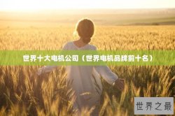 世界十大电机公司（世界电机品牌前十名）