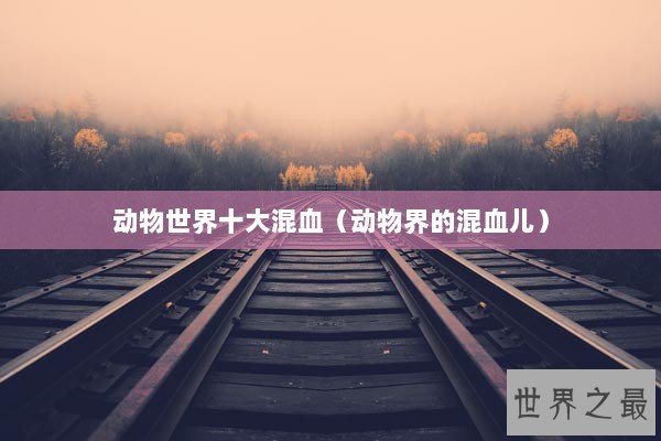动物世界十大混血（动物界的混血儿）