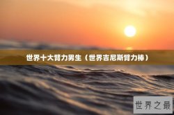 世界十大臂力男生（世界吉尼斯臂力棒）