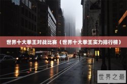 世界十大拳王对战比赛（世界十大拳王实力排行榜）