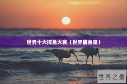 世界十大捕鱼大赛（世界捕鱼量）