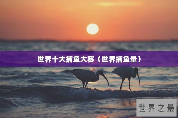 世界十大捕鱼大赛（世界捕鱼量）