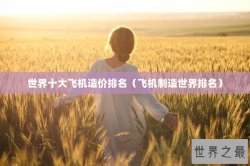 世界十大飞机造价排名（飞机制造世界排名）