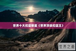 世界十大扣篮明星（世界顶级扣篮王）