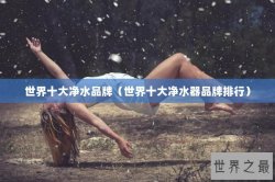 世界十大净水品牌（世界十大净水器品牌排行）