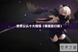 世界公认十大烧钱（烧钱排行榜）