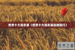 世界十大洗衣液（世界十大洗衣液品牌排行）