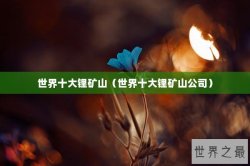 世界十大锂矿山（世界十大锂矿山公司）