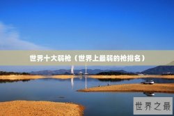世界十大弱枪（世界上最弱的枪排名）