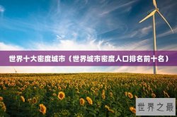 世界十大密度城市（世界城市密度人口排名前十名）