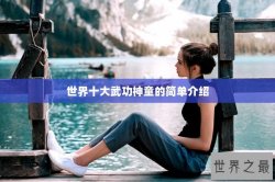 世界十大武功神童的简单介绍