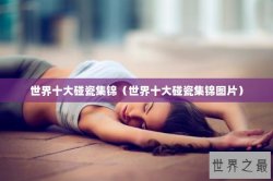 世界十大碰瓷集锦（世界十大碰瓷集锦图片）